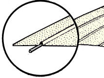 Hemel baleinen, p.st.