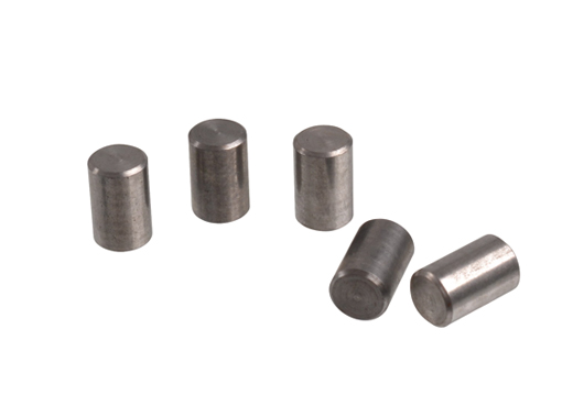 Hauptlager Pastifte(5 Stck)