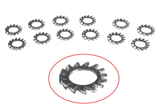 Borgring homokineet bout (12 stuks)